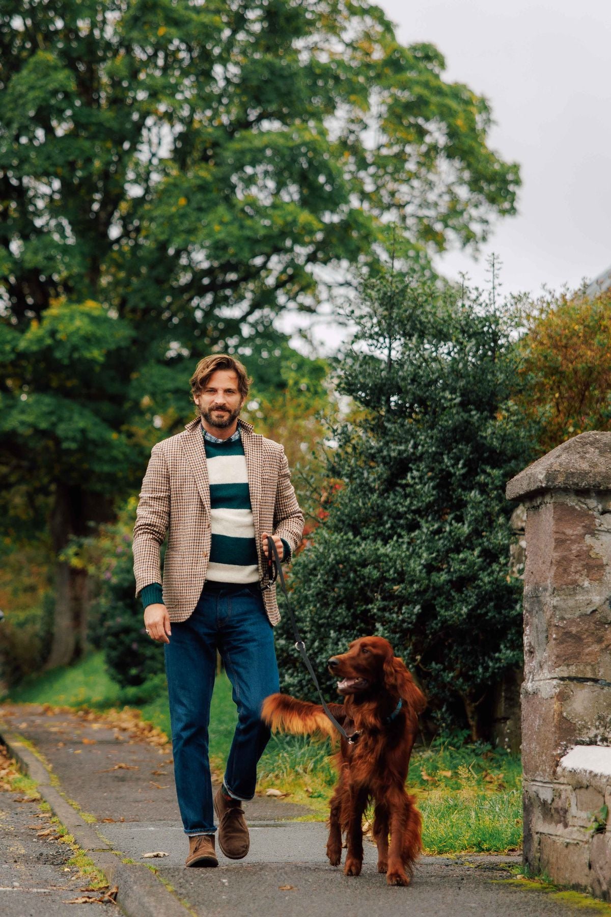 A man wearing a checked blazer, striped sweater, and jeans walks a brown dog on a leash along a tree-lined sidewalk on a cloudy day.