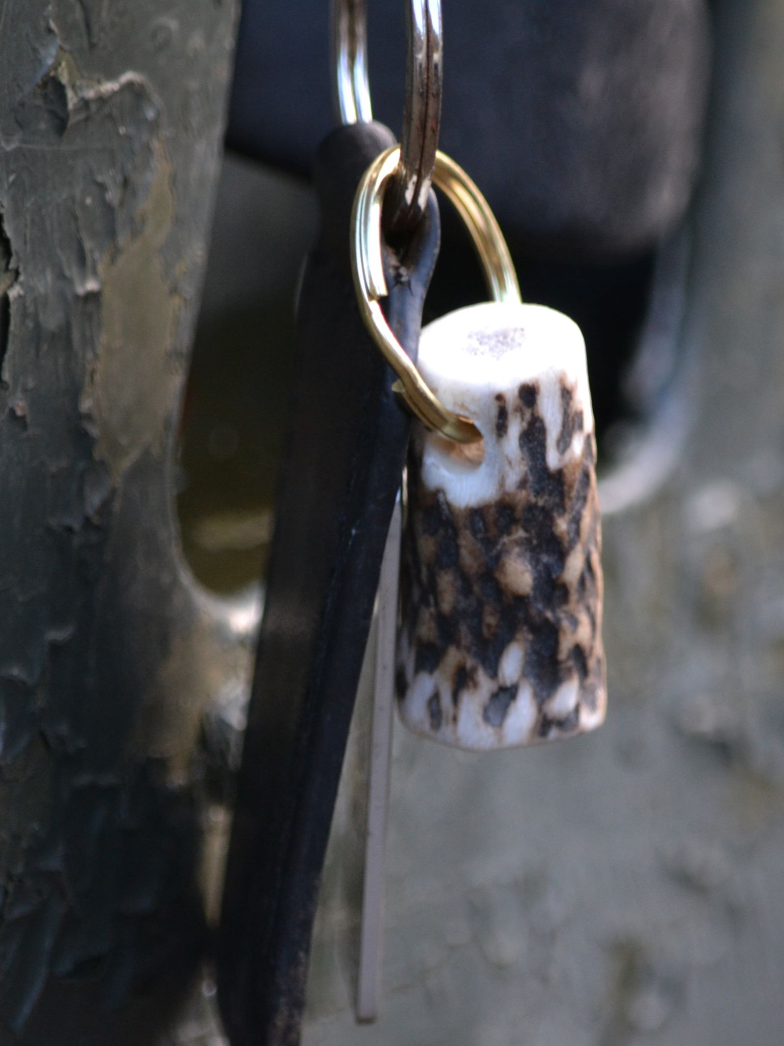 A close-up of the Campbell's of Beauly Antler Keyring, featuring a speckled brown and white cylindrical red deer antler and metal key, hangs against a textured, weathered surface.