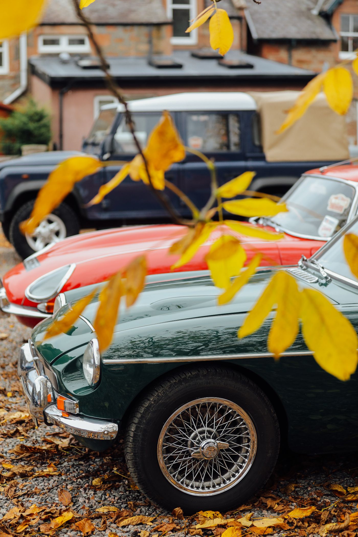 Close-up of three classic cars—green, red, and dark blue—parked in a row, partially obscured by autumn leaves. The scene is outdoors, with fallen leaves on the ground and buildings in the background.