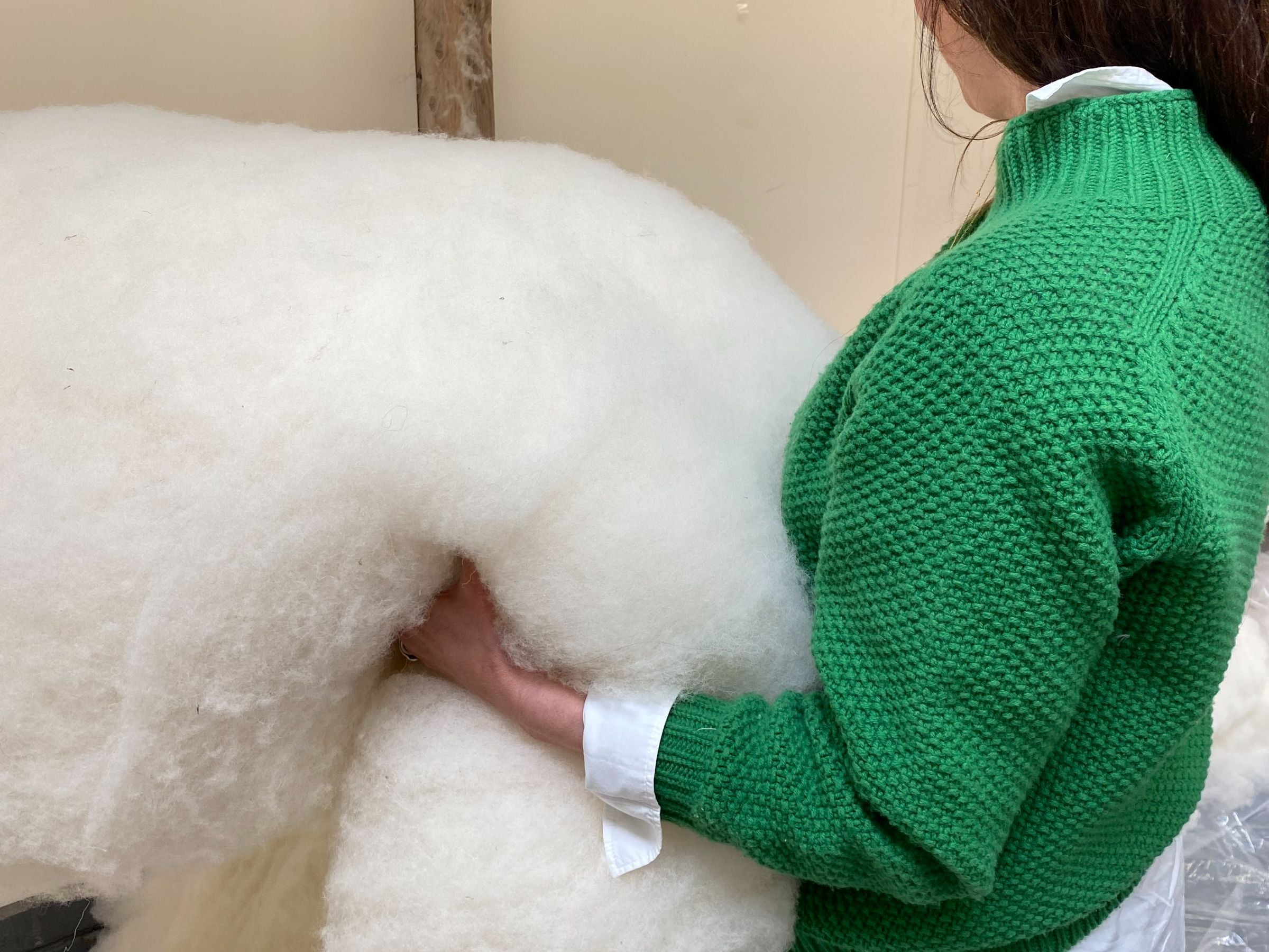 A person in a green sweater holds a large, fluffy piece of white wool or fiber, pressing it with both hands. The scene appears to be indoors. The person’s face is not visible.