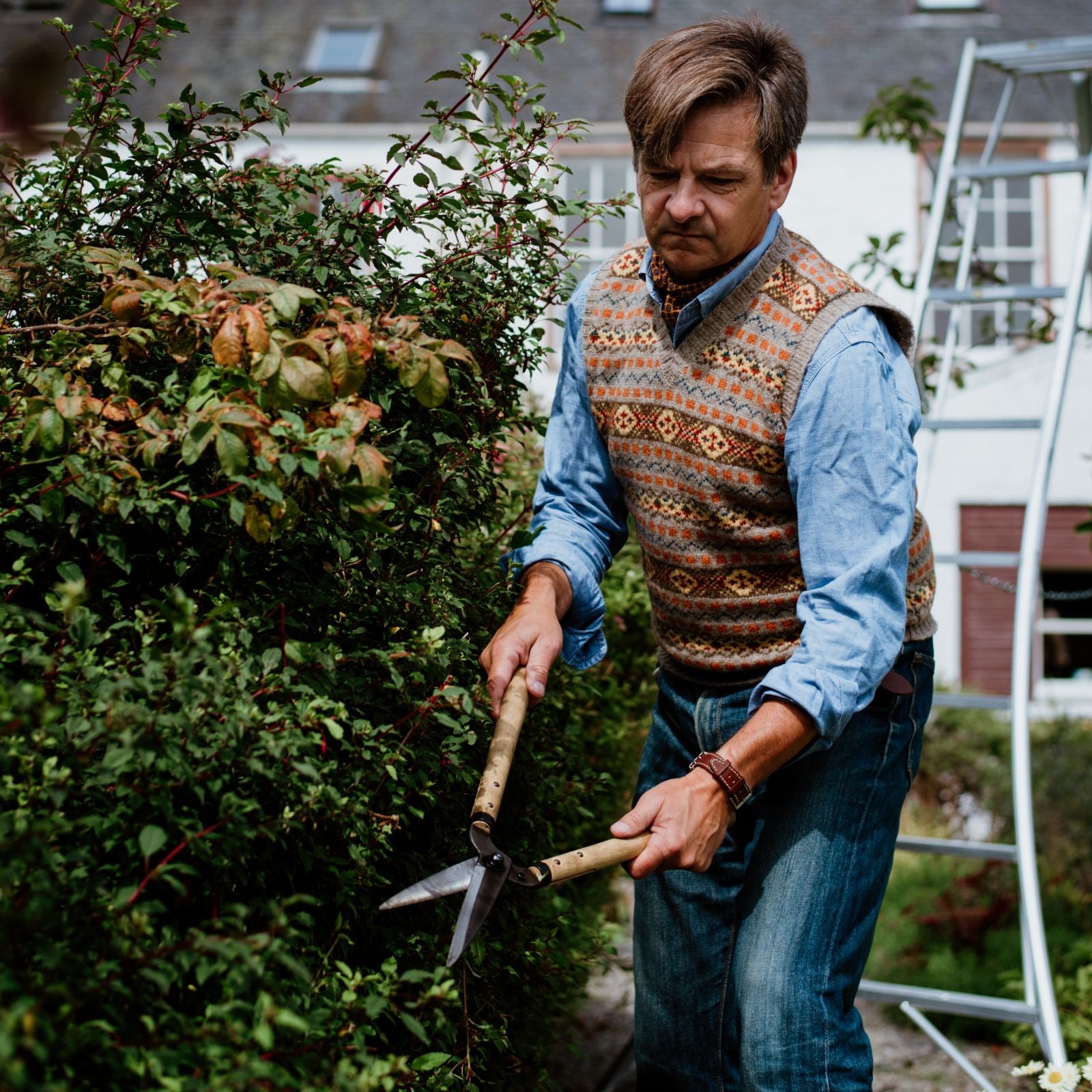 A man wearing a patterned sweater vest and jeans uses hedge shears to trim bushes in a garden, with a ladder and house visible in the background.