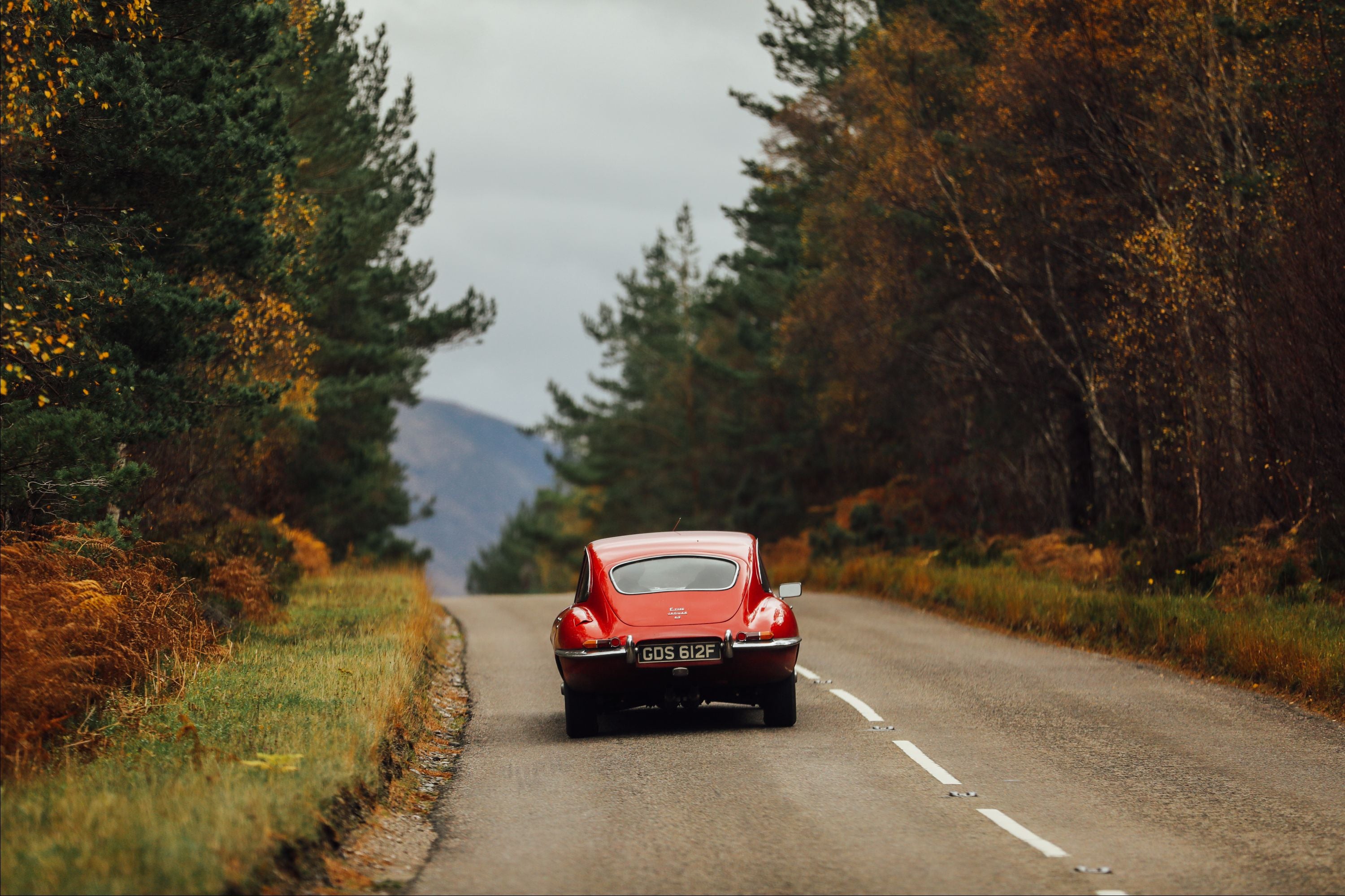 A classic red car drives down a winding rural road surrounded by tall trees and autumn foliage, with mountains visible in the background under an overcast sky.