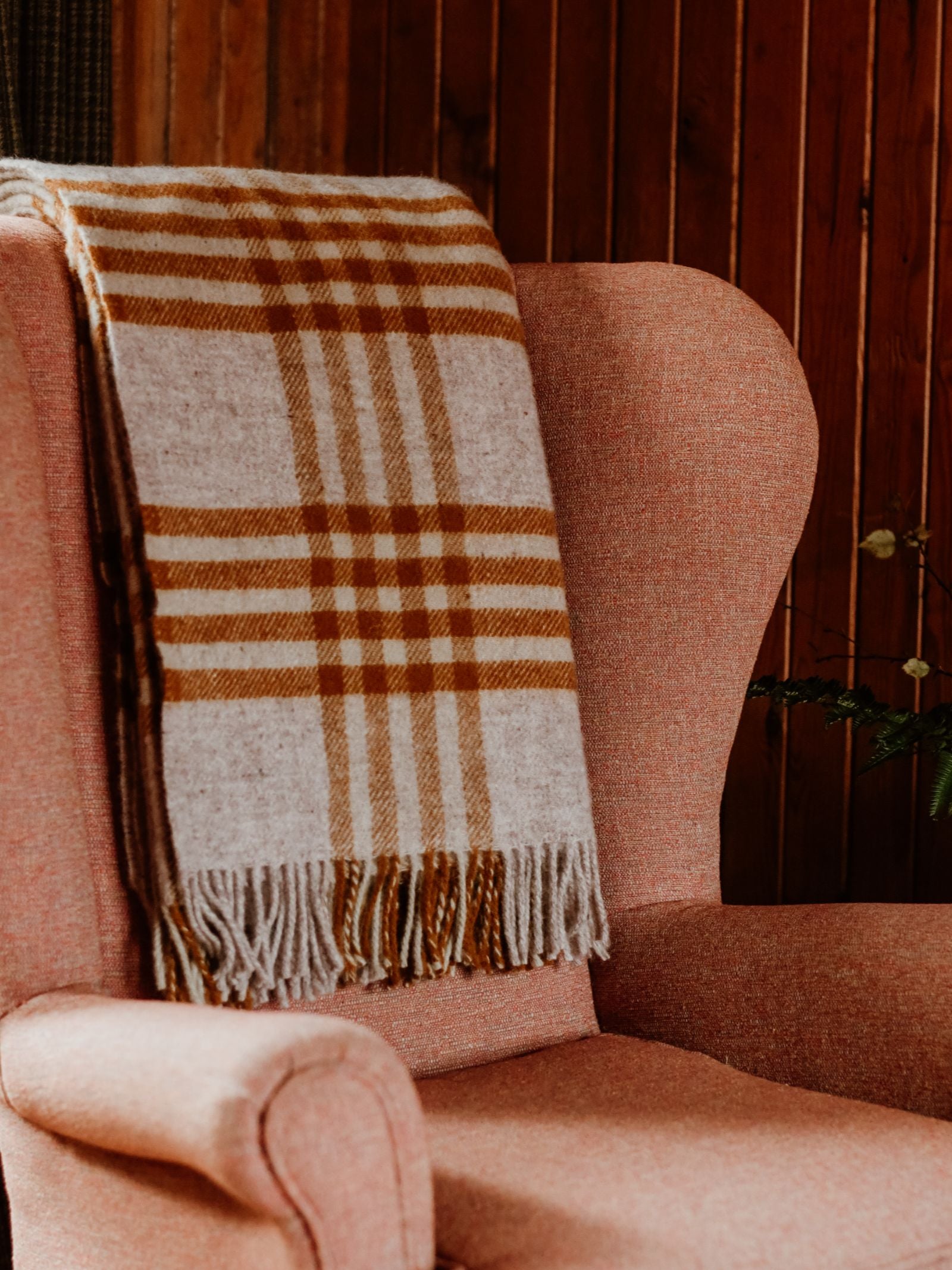 A cozy pink armchair features the Campbell's of Beauly Tarradale Lambswool Throw, with its British craftsmanship-inspired check pattern, draped over the backrest and set against a wooden paneled wall.