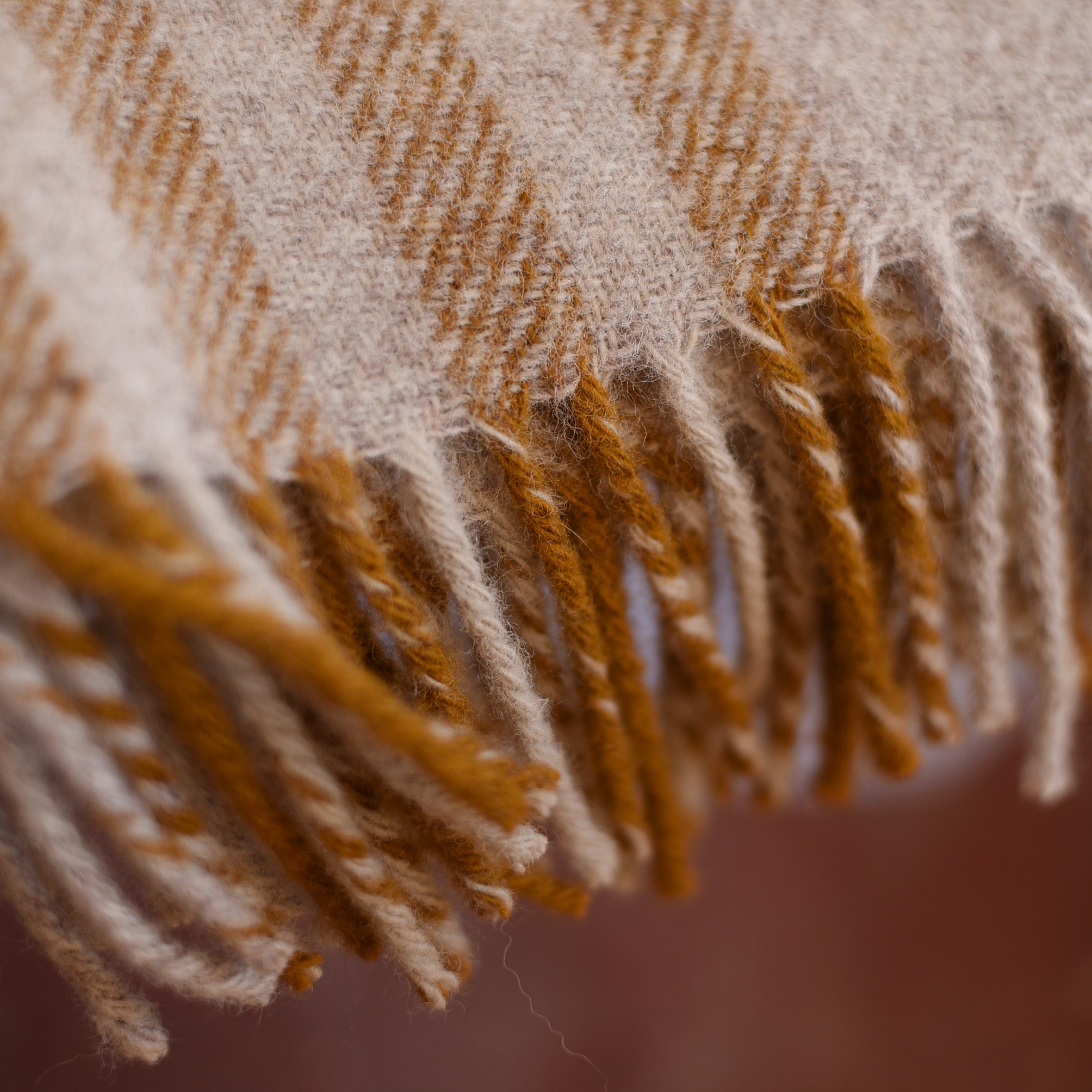 Close-up of the fringed edge of a soft woolen blanket with a beige and brown striped pattern. The fibers and texture of the blanket are clearly visible.