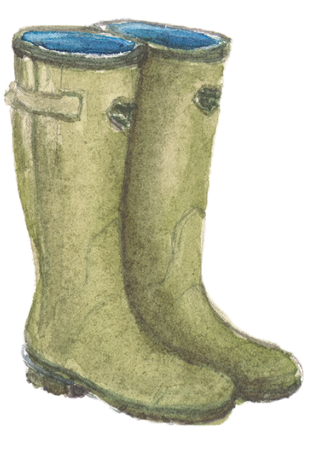 A watercolor illustration of a pair of green rubber rain boots with blue interiors, standing side by side and facing slightly to the right.