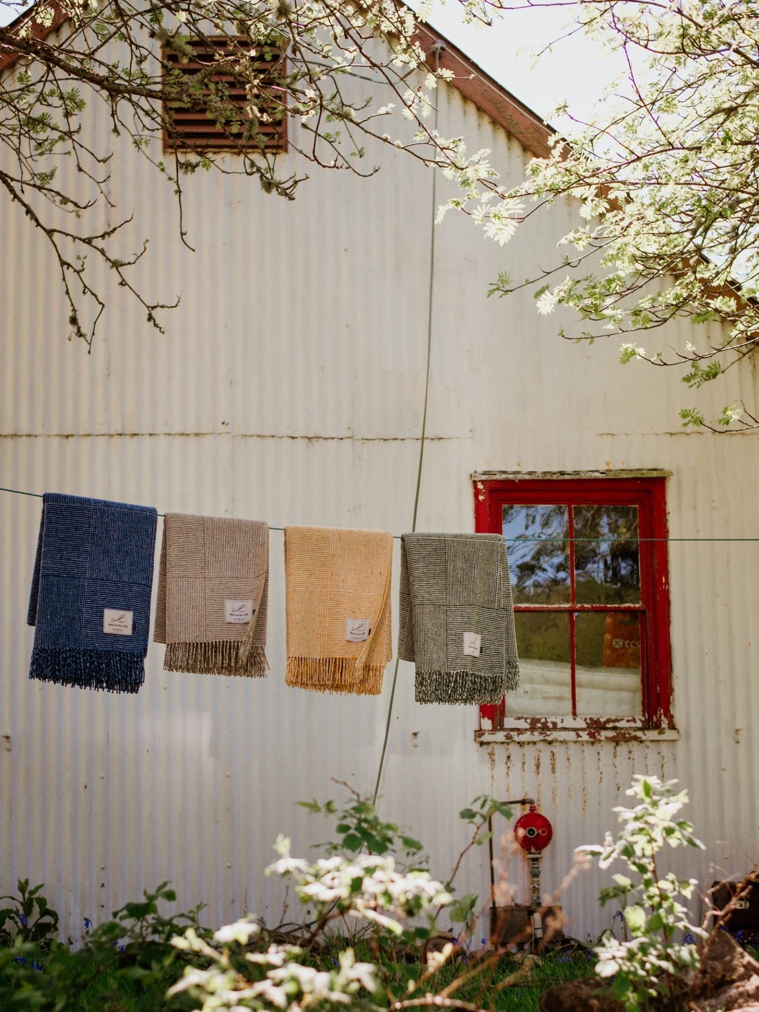 Four Cabrich Lambswool Throws by Campbell’s of Beauly—blue, gray, yellow, and green—in a basket weave pattern hang on a clothesline before a white building with red-trimmed windows and sunlit leafy branches.