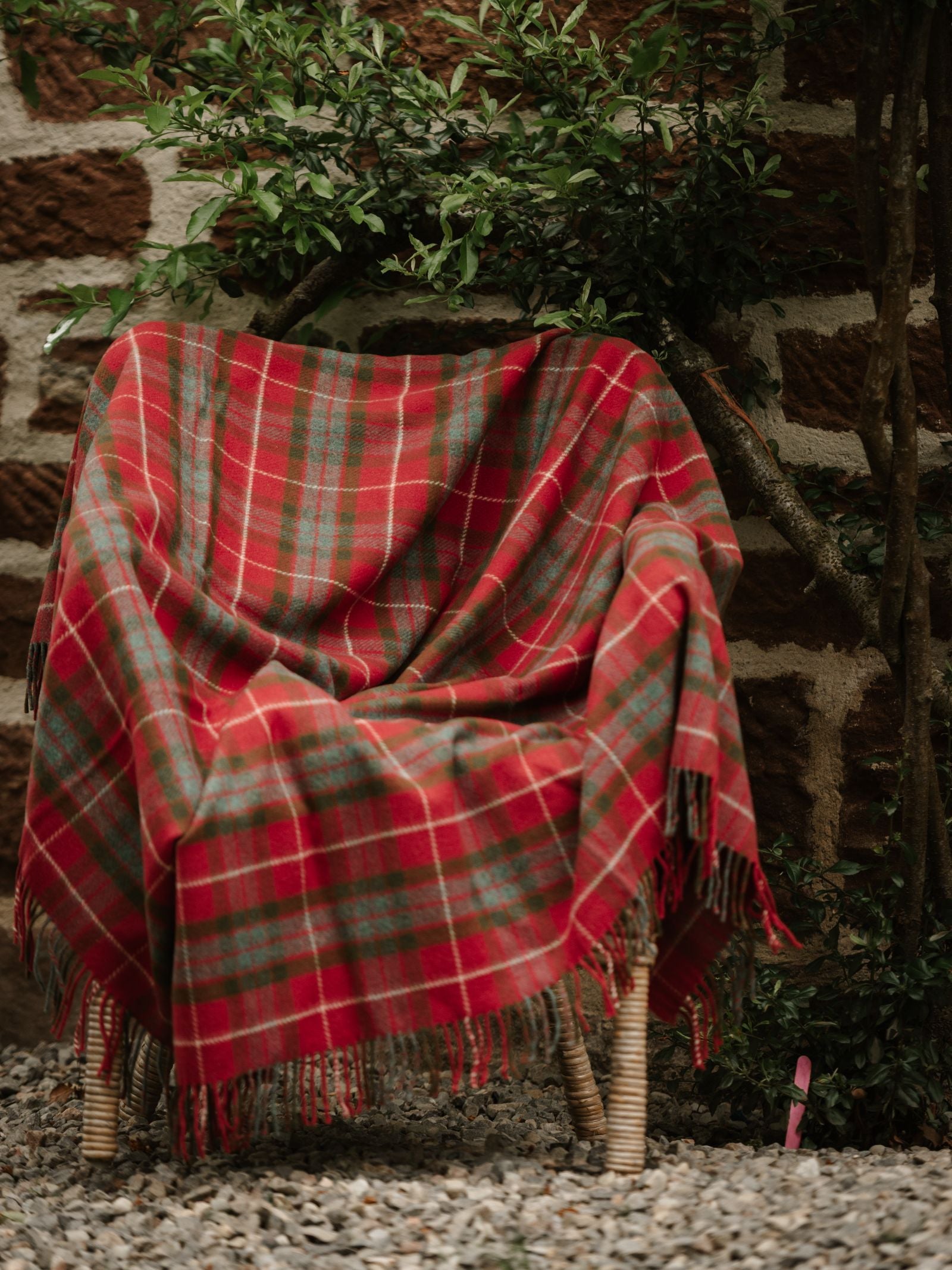 A wicker chair, covered with Campbell’s of Beauly's Limited Edition Fraser Red Weathered Lambswool Throw, sits on gravel by a brick wall, partly shaded by leafy branches.
